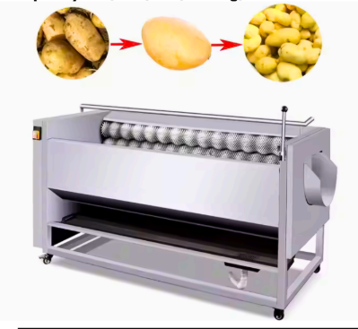 WPS- Washer Cum Peeler