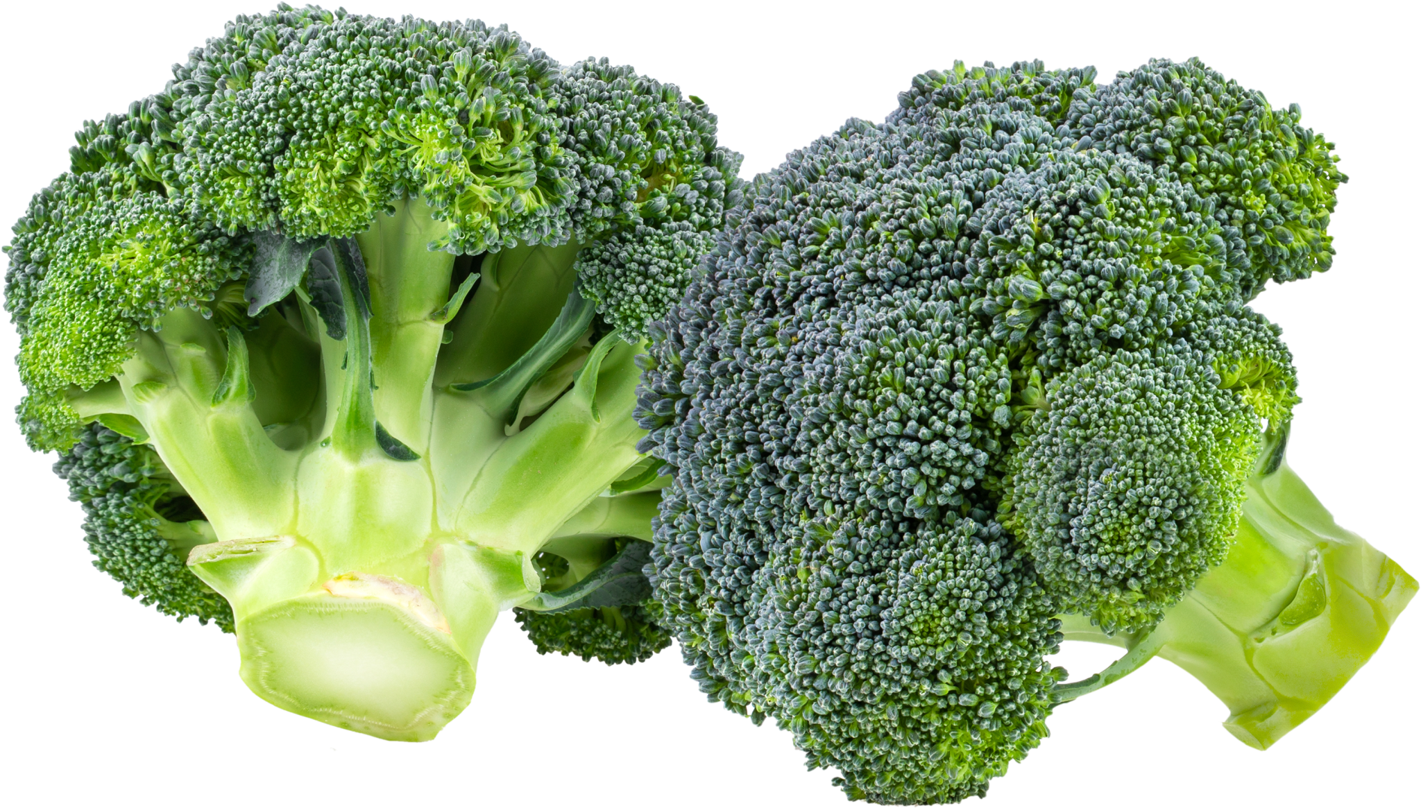 Vegetables