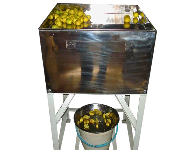 WPS Lemon Cutter