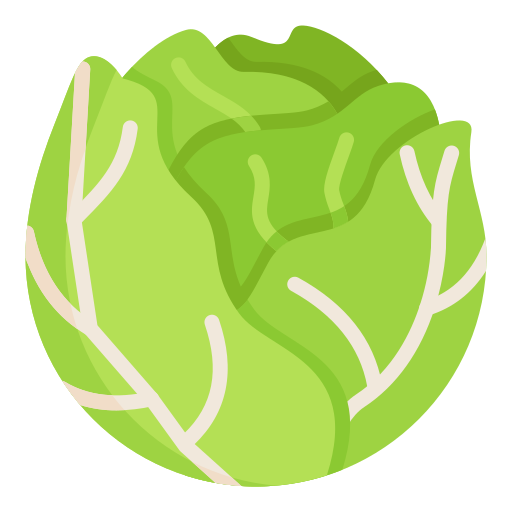 Cabbage